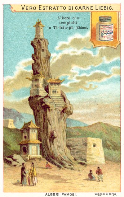 Gammalt träd med tempel på det i Kina (chromolitho) av European School
