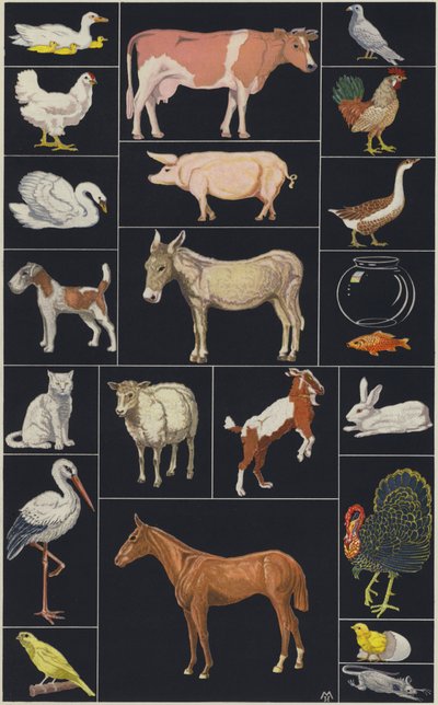 Sida ur bilderbok för barn, Animals (färglitografi) av European School