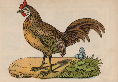 Sida från den magiska boken (färg litho) av European School