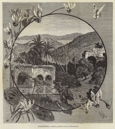 Palestina, galileisk by nära Nasaret av European School