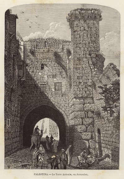Palestina, Antoniatornet, i Jerusalem av European School