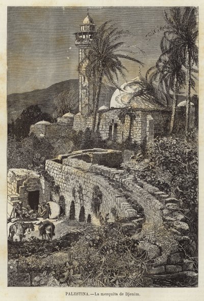 Palestina, Djenne-moskén av European School