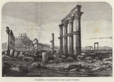 Palestina, Utsikt över Palmyra, från den stora pelargången av European School