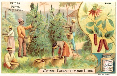 Peppar (chromolitho) av European School