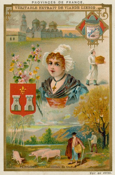 Perigord av European School