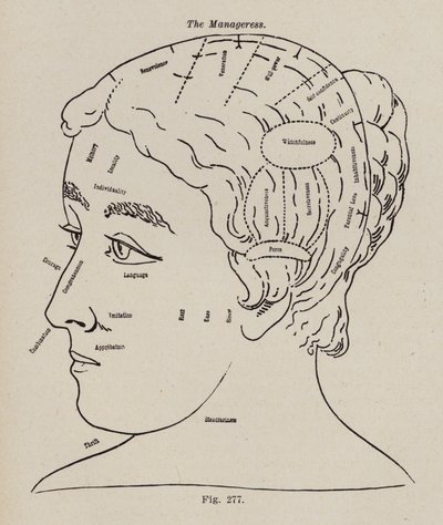 Frenologi, A Manageress (medlemmar) av European School