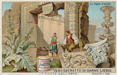 Växter i konsten, Liebig-kort, tidigt 1900-tal (chromo) av European School