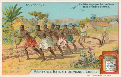 Plog, Liebig-kort, början av 1900-talet (chromo) av European School