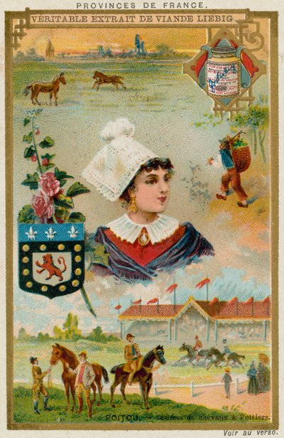 Poitou av European School