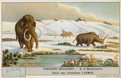 Förhistorisk värld, Liebig-kort, början av 1900-talet (chromo) av European School