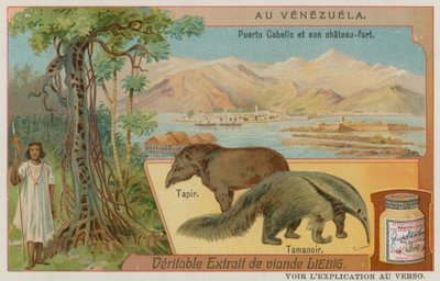 Puerto Cabello och dess fort med en Tapir och en myrslok av European School