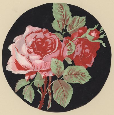 Rosa (färglitografi) av European School