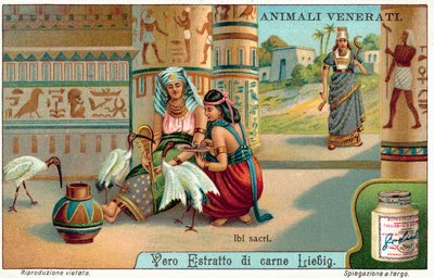 Helig ibis i det antika Egypten (chromolitho) av European School