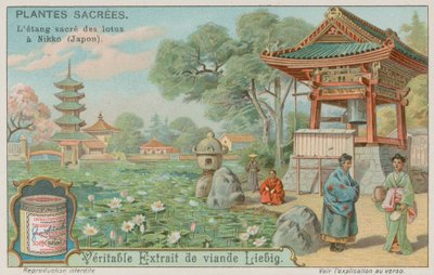 Helig lotusblommadamm i Nikko, Japan av European School