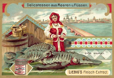 Stör (chromolitho) av European School