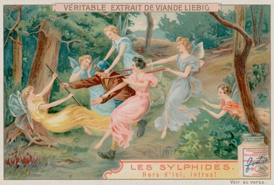 Sylphs och en inkräktare av European School