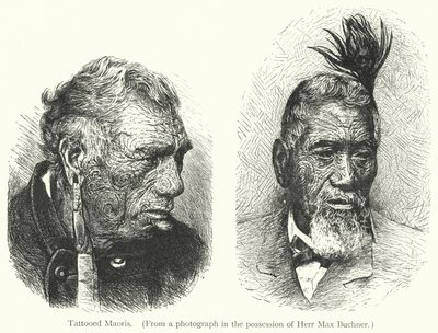 Tatuerade maorier (gravyr) av European School