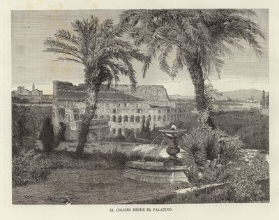 Colosseum från Palatinen av European School