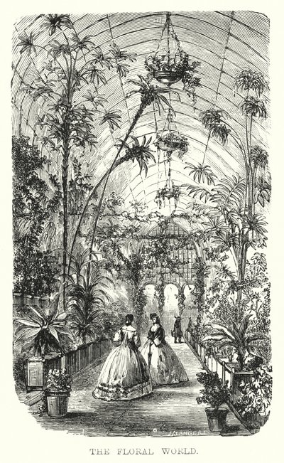 The Floral World (gravyr) av European School