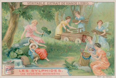De hjälpsamma sylferna av European School