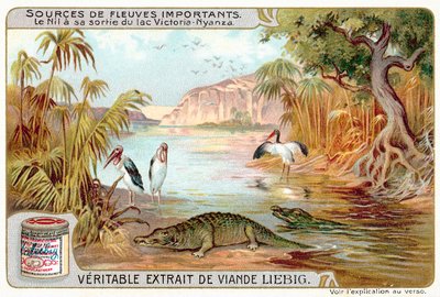 Nilen när den lämnar Victoriasjön (chromolitho) av European School