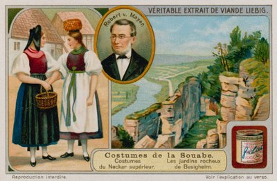 Kläderna i Upper Neckar-floden, Julius Robert von Mayer och klippträdgårdarna i Besigheim av European School