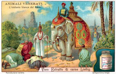 Den vita elefanten från Siam (chromolitho) av European School