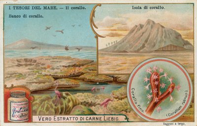 Havets skatter, Liebig-kort, början av 1900-talet (chromo) av European School