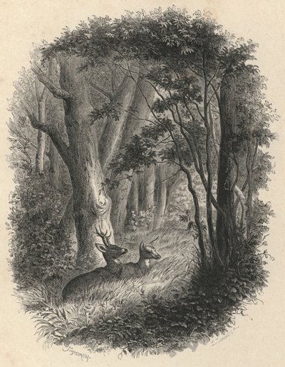 Ett hörn av skogen Fontainebleau (gravyr) av European School