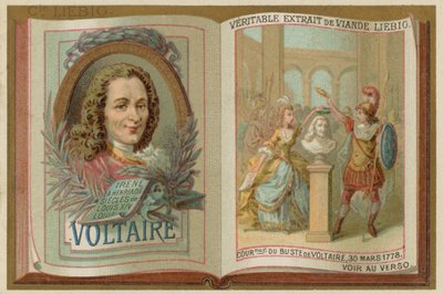 Voltaire av European School