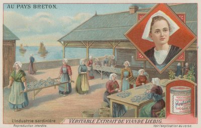 Kvinnor som förbereder sardiner (chromolitho) av European School