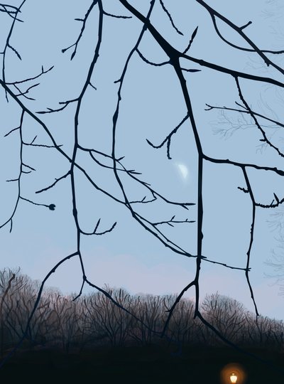 Grenar, gryning, Prospect Park (digital konst) av Evan Sklar