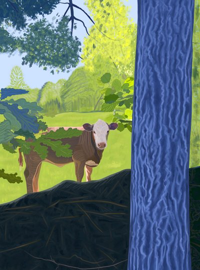Ko på fält, 2025 (digital konst) av Evan Sklar