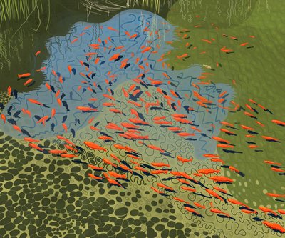 Coy-damm i botanisk trädgård (digital konst) av Evan Sklar