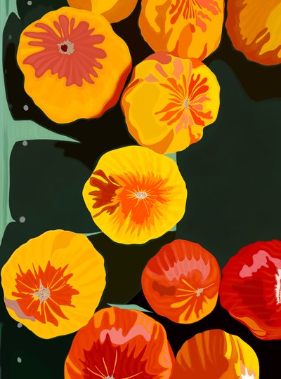Eleven Tomatoes At Market Brooklyn (digital konst) av Evan Sklar