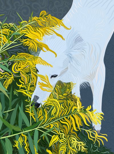 Goatdbeard White Dog och Goldenrod (digital konst) av Evan Sklar