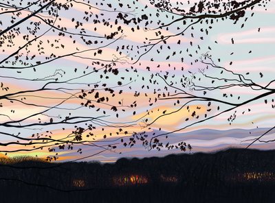 Hawk On Branch, prospect park (digital konst) av Evan Sklar