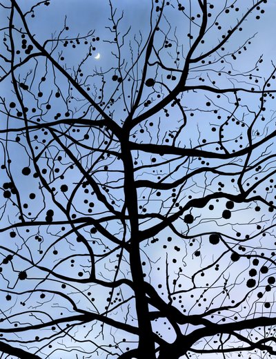 London PlaneTree and Moon, Brooklyn (digital konst) av Evan Sklar