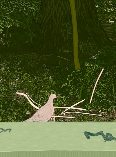 Sorgeduva på vägg i Prospect Park, ca 2020-24 (digital konst) av Evan Sklar