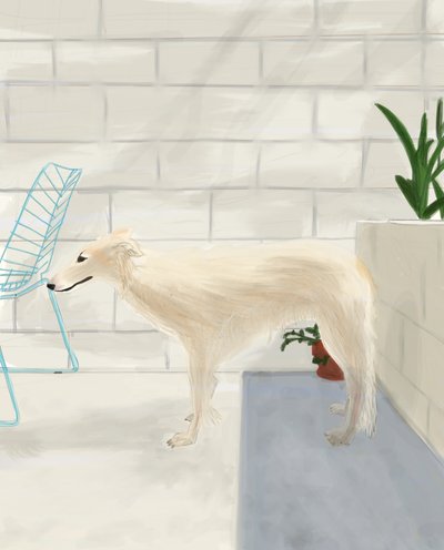 Penny On The Back Porch 2017 (handritad på en iPad med en Apple-penna) av Evan Sklar