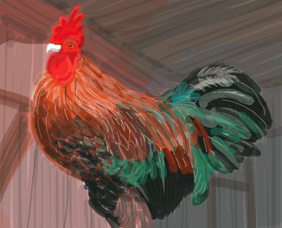 Rooster In Barn, 2018 (handritad på en iPad med en Apple-penna) av Evan Sklar