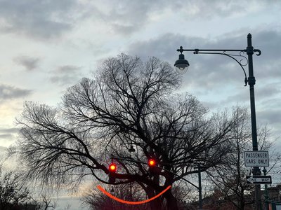 Leende träd och trafikljus. Brooklyn (digital konst) av Evan Sklar