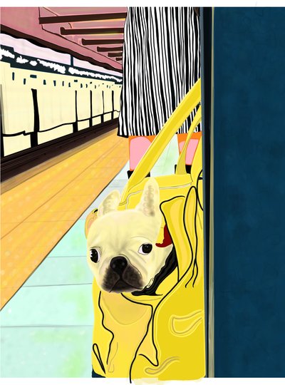 Tunnelbaneresenär med hund i väska, Brooklyn (digital konst) av Evan Sklar