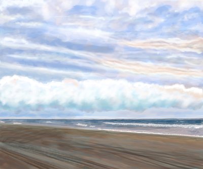 Swan Beach av Evan Sklar