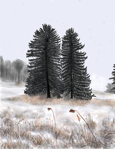 Wedded Pines av Evan Sklar