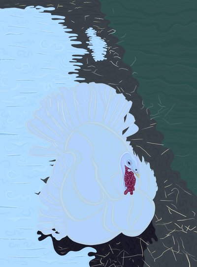 Vit kalkon i snö på gård. (digital konst) av Evan Sklar