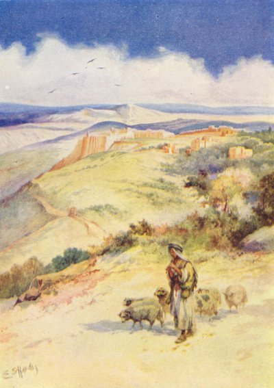  av Evelyn Stuart Hardy