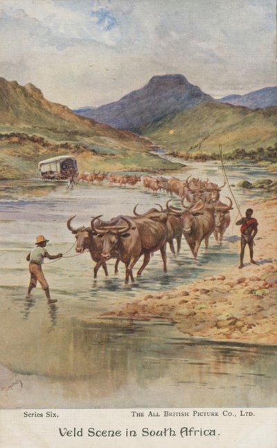 Bönder som kör boskap, Sydafrika (färg litho) av Evelyn Stuart Hardy