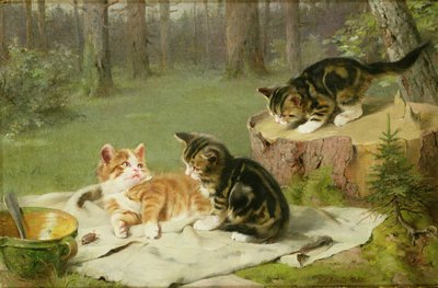Kattungar som leker av Ewald Honnef