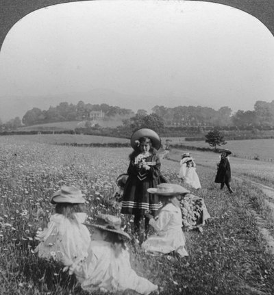 Barn på en äng, Keswick, Cumbria. av Excelsior Stereoscopic Tours